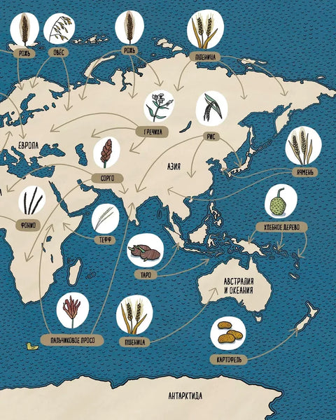 Хлеб. Вкус мира