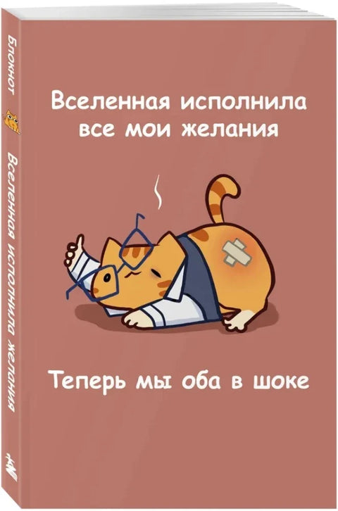Мурчальня. Вселенная исполнила все мои желания. Теперь мы оба в шоке — дополнительное изображение