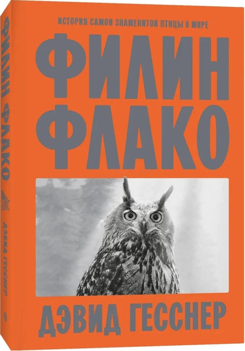 Филин Флако: История самой знаменитой птицы в мире