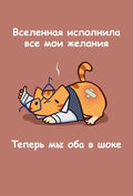 Мурчальня. Вселенная исполнила все мои желания. Теперь мы оба в шоке — обложка
