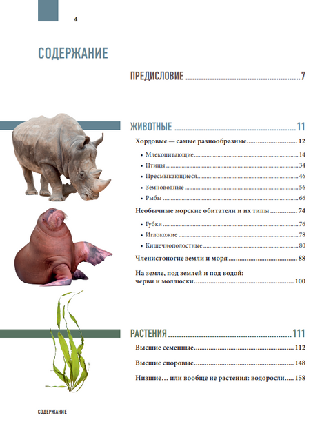 Атлас Земли. Животные, растения, грибы, бактерии, минералы и другие сокровища нашей планеты