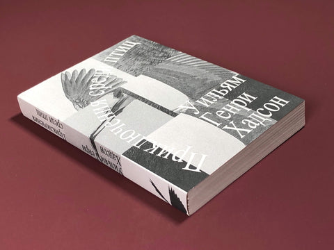 Приключения среди птиц