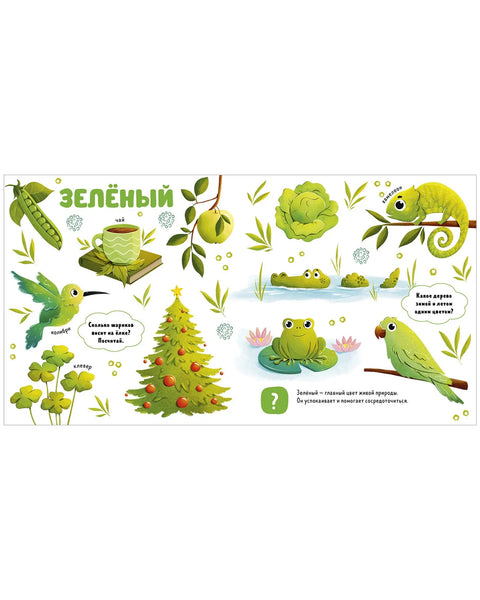 Цвета и предметы