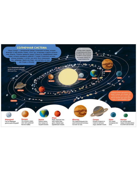 Мир вокруг. Энциклопедия в картинках