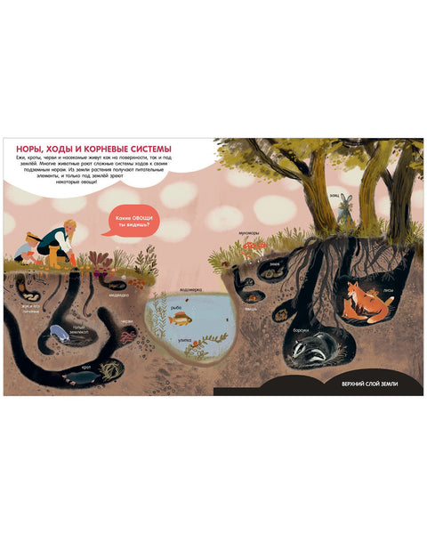 Мир вокруг. Энциклопедия в картинках