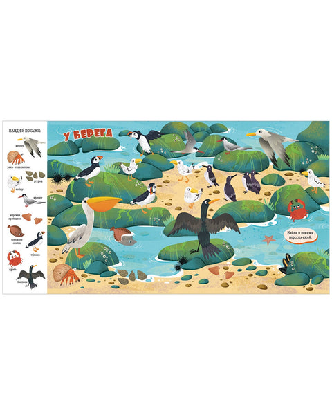 Найди и покажи, малыш. Океаны и моря