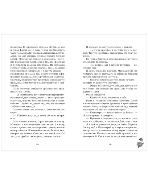 Падающая Звезда — дополнительное изображение