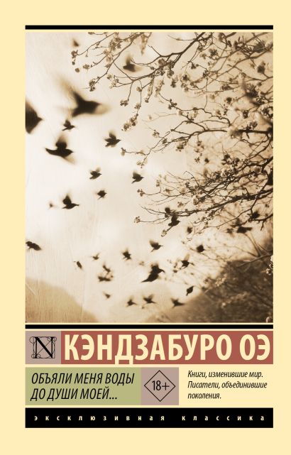 Объяли меня воды до души моей... — обложка, ISBN 9785171647612
