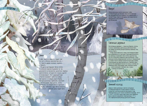 Тайга: один год из жизни крупнейшего наземного биома