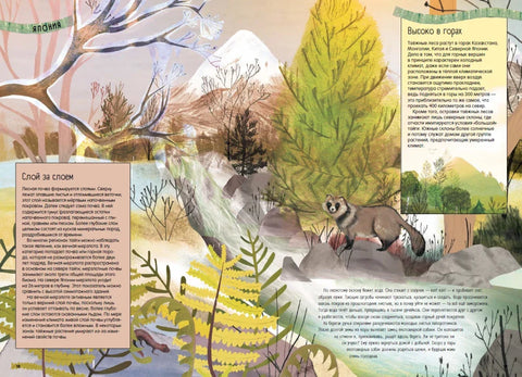 Тайга: один год из жизни крупнейшего наземного биома