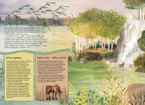 Тайга: один год из жизни крупнейшего наземного биома