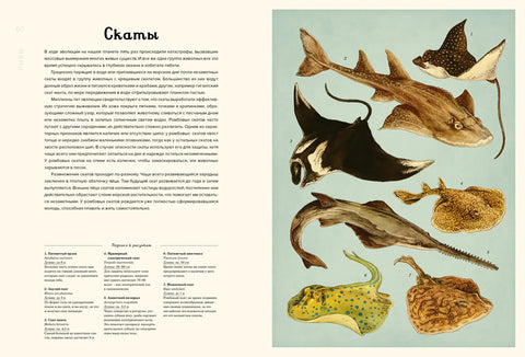 Океанаријум