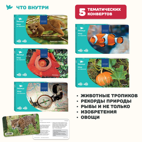 Мир на ладошке. Тигр