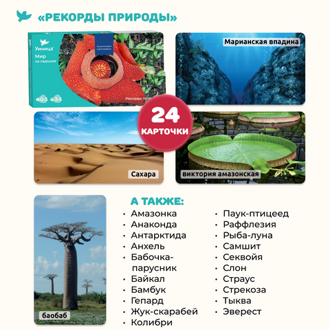 Мир на ладошке. Тигр