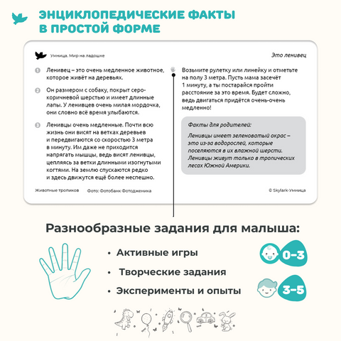 Мир на ладошке. Тигр