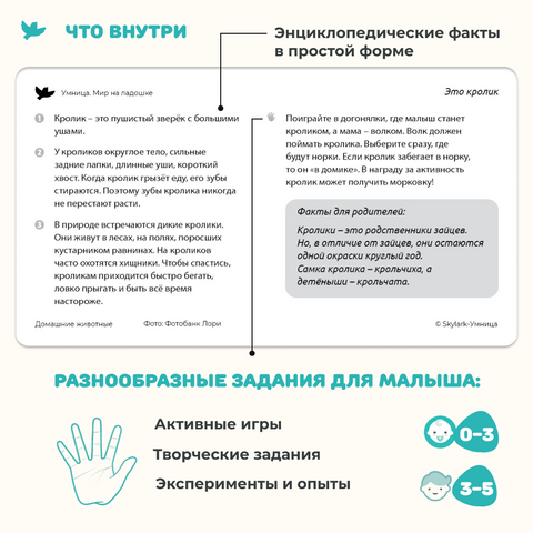 Мир на ладошке 2в1: «Домашние животные» и «Музыкальные инструменты»