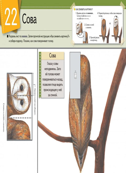 Оживи картинку! Животные