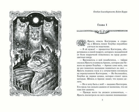 Тень Когтегрива. Книга 2. Возвращение