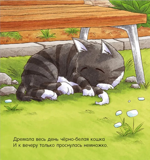 Прича за лаку ноћ. Лаку ноћ, псе!