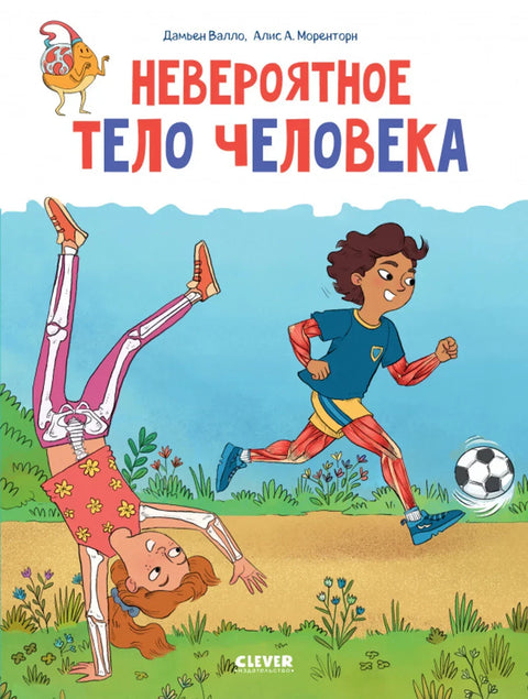 Невероятное тело человека