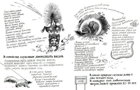 Человек из зоопарка