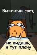 Мурчальня. Выключи свет, не видишь, я тут плачу — обложка