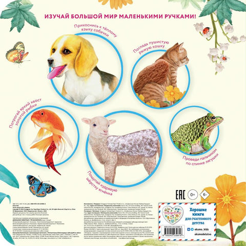 Домашние животные — дополнительное изображение