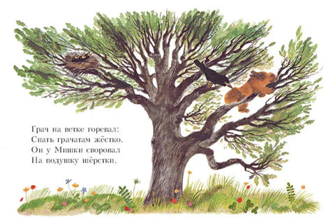 Плишани медвед