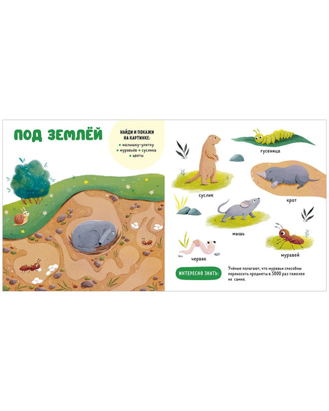 Прогулки по лесу