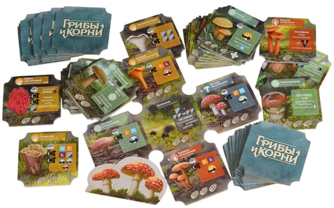 Грибы и корни