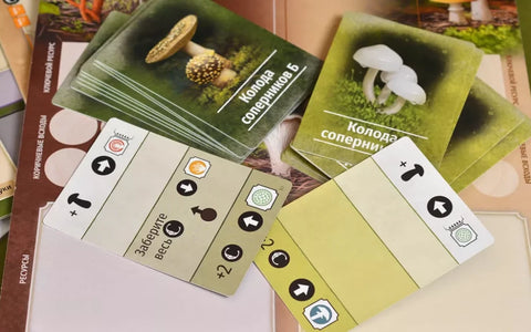 Грибы и корни