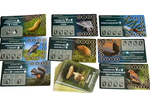 Грибы и корни