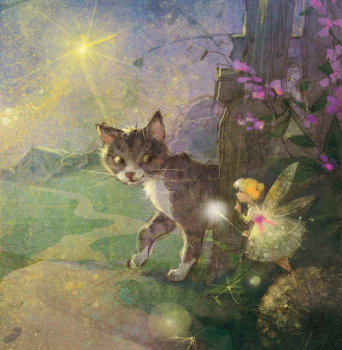 Сабака і зорачка