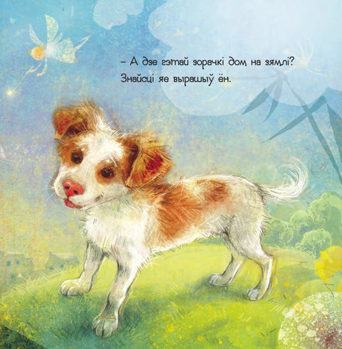 Сабака і зорачка