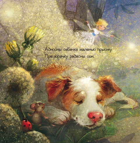 Сабака і зорачка