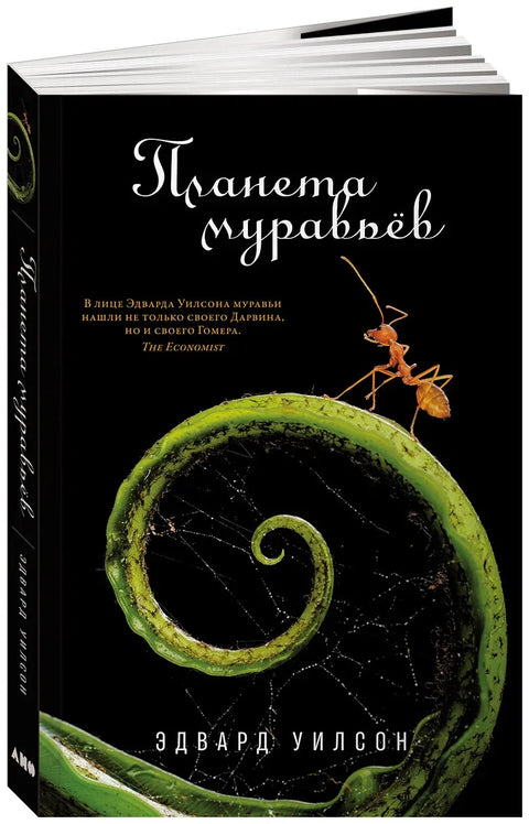 Планета муравьёв