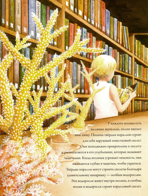 Корални гребени