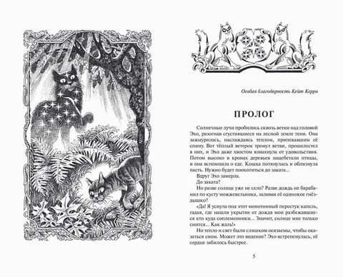 Гроза и тень