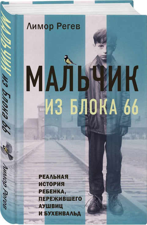 Мальчик из Блока 66: реальная история ребенка, пережившего Аушвиц и Бухенвальд