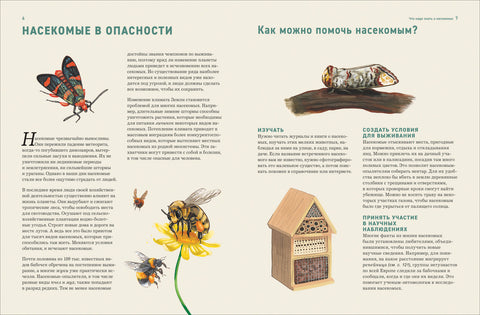 Насекомые. Лучшая энциклопедия