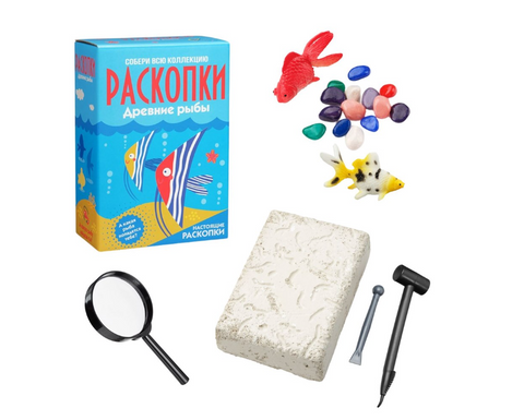 Большой набор для проведения раскопок «Рыбы»