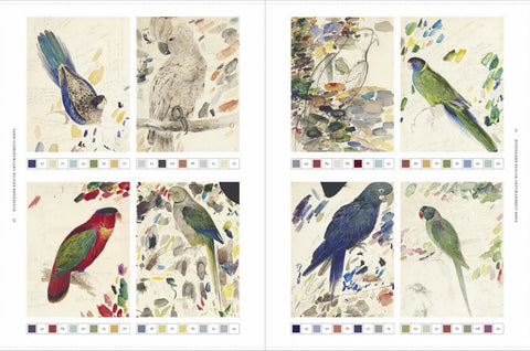 Цвет в природе. Коллекция красок окружающего мира