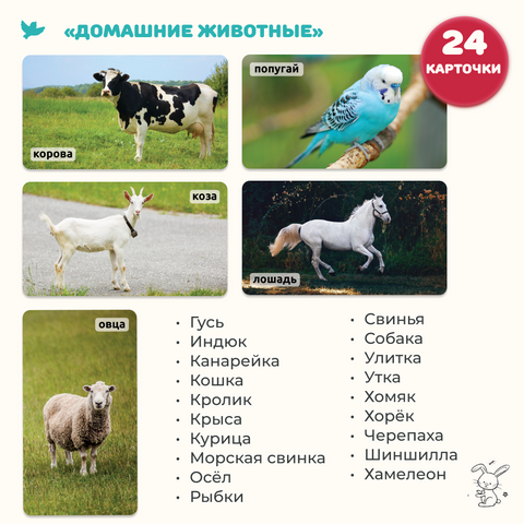 Мир на ладошке 2в1: «Домашние животные» и «Музыкальные инструменты»