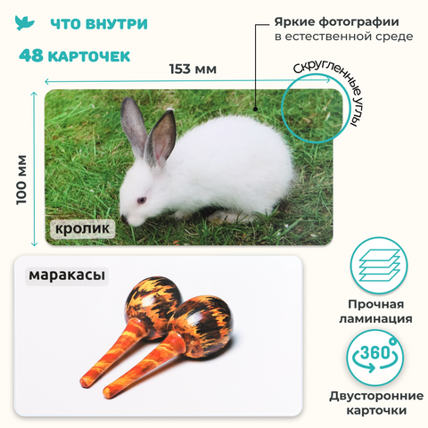 Мир на ладошке 2в1: «Домашние животные» и «Музыкальные инструменты»
