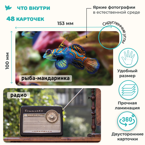 Мир на ладошке 2в1: «Изобретения» и «Рыбы и не только»