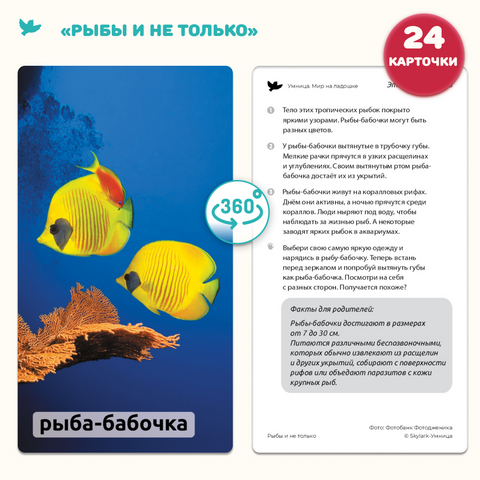 Мир на ладошке 2в1: «Изобретения» и «Рыбы и не только»