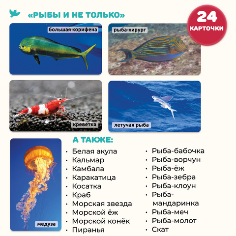 Мир на ладошке 2в1: «Изобретения» и «Рыбы и не только»