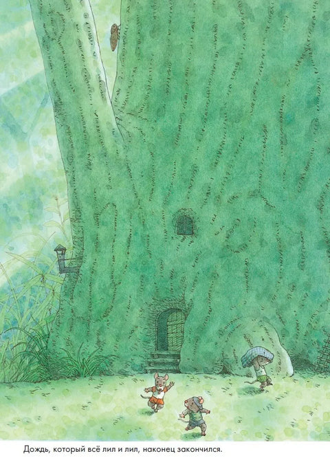 14 лесных мышей. Стирка.