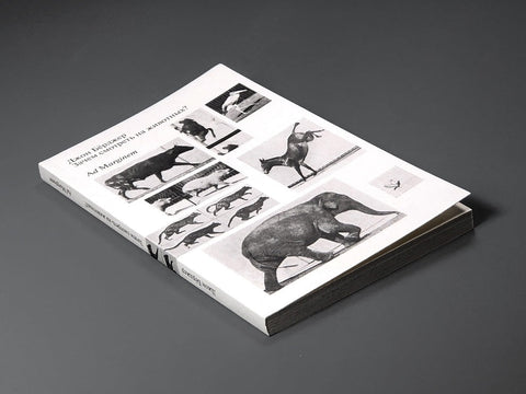 Зачем смотреть на животных?