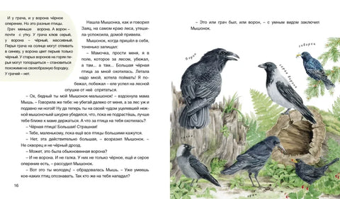 Лес рассказывает сказки